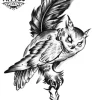 tatouage-ephemere-plume-hiboux-design-unique tatouage-ephemere-plume-hiboux-design-unique