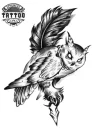 tatouage-ephemere-plume-hiboux-design-unique tatouage-ephemere-plume-hiboux-design-unique
