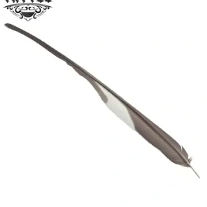 tatouage-ephemere-plume-hirondelle-design-elegant-temporaire tatouage-ephemere-plume-hirondelle-design-elegant-temporaire