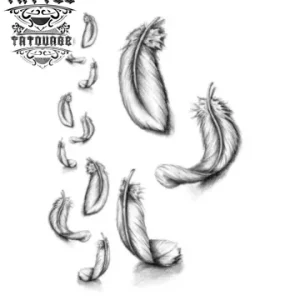 tatouage-ephemere-plume-legere-pour-peau-sensible-tatouage-plume tatouage-ephemere-plume-legere-pour-peau-sensible-tatouage-plume
