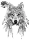 tatouage-éphémère-plume-loup-design-réaliste-bras-corps tatouage-éphémère-plume-loup-design-réaliste-bras-corps
