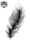 tatouage-ephemere-plume-noire-artistique-moderne tatouage-ephemere-plume-noire-artistique-moderne
