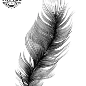 tatouage-ephemere-plume-noire-artistique-moderne tatouage-ephemere-plume-noire-artistique-moderne