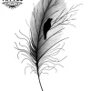 tatouage-ephemere-plume-oiseau-design-unique tatouage-ephemere-plume-oiseau-design-unique