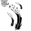 tatouage-plume-ephemere-plume-oiseau-elegante