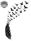 tatouage-ephemere-plume-oiseau-design-elegant-tatouage-plume tatouage-ephemere-plume-oiseau-design-elegant-tatouage-plume