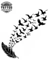 Tatouage Éphémère Plume Oiseau Design Unique Tatouage Éphémère Plume Oiseau Design Unique