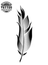 tatouage_ephemere_plume_original_design_unique tatouage_ephemere_plume_original_design_unique