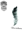 tatouage-ephemere-plume-personnalisee-avec-prenom tatouage-ephemere-plume-personnalisee-avec-prenom