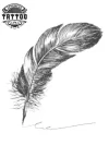 tatouage-ephemere-plume-artistique-ecriture-fleurie tatouage-ephemere-plume-artistique-ecriture-fleurie