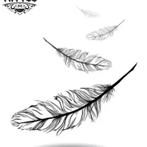 tatouage-ephemere-plume-qui-senvole-design-aerien-tatouage-plume tatouage-ephemere-plume-qui-senvole-design-aerien-tatouage-plume