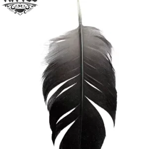 tatouage-plume-ephemere-realiste-temporaire-peau tatouage-plume-ephemere-realiste-temporaire-peau