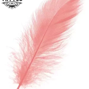 tatouage-plume-ephemere-rose-design-elegant tatouage-plume-ephemere-rose-design-elegant