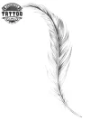 tatouage-plume-ephemere-tres-fine-style-elegant tatouage-plume-ephemere-tres-fine-style-elegant