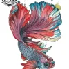 tatouage-poisson-ephemere-aquarelle-artistique-waterproof tatouage-poisson-ephemere-aquarelle-artistique-waterproof