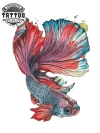 tatouage-poisson-ephemere-aquarelle-artistique-waterproof tatouage-poisson-ephemere-aquarelle-artistique-waterproof