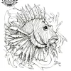 tatouage ephemere poisson lion design unique tatouage ephemere poisson lion design unique
