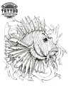 tatouage ephemere poisson lion design unique tatouage ephemere poisson lion design unique