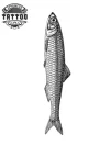 tatouage-ephemere-poisson-sardine-design-unique tatouage-ephemere-poisson-sardine-design-unique