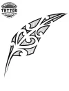 tatouage polynesien fougere motif tribal tropical ephemere tatouage polynesien fougere motif tribal tropical ephemere