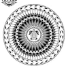 tatouage-ephemere-tortue-raie-polynesien-design-authentique