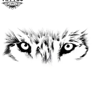 tatouage-ephemere-regard-loup-realisme-majestueux-tatouage-loup tatouage-ephemere-regard-loup-realisme-majestueux-tatouage-loup