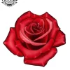 tatouage-ephemere-rose-3d-realiste-pour-femme-et-homme-tatouage-rose tatouage-ephemere-rose-3d-realiste-pour-femme-et-homme-tatouage-rose