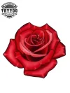 tatouage-ephemere-rose-3d-realiste-pour-femme-et-homme-tatouage-rose tatouage-ephemere-rose-3d-realiste-pour-femme-et-homme-tatouage-rose