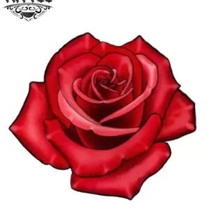 tatouage-ephemere-rose-3d-realiste-pour-femme-et-homme-tatouage-rose