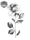 tatouage-ephemere-rose-design-floral-romantique tatouage-ephemere-rose-design-floral-romantique