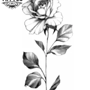 tatouage-ephemere-rose-design-floral-romantique