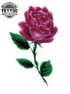 tatouage-ephemere-rose-belle-et-la-bete-theme-tatouage-rose-romantique tatouage-ephemere-rose-belle-et-la-bete-theme-tatouage-rose-romantique