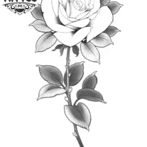 tatouage rose blanche éphémère design floral temporaire