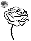 tatouage-ephemere-rose-epine-design-floral-realiste tatouage-ephemere-rose-epine-design-floral-realiste