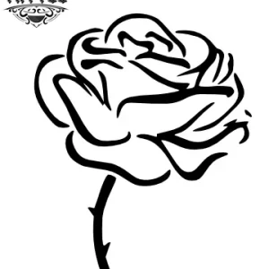 tatouage-ephemere-rose-epine-design-floral-realiste tatouage-ephemere-rose-epine-design-floral-realiste