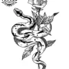 tatouage-ephemere-rose-et-serpent-floral-mystique-tatouage-rose tatouage-ephemere-rose-et-serpent-floral-mystique-tatouage-rose