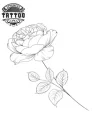 tatouage-ephemere-rose-fine-semi-permanent-tatouage-rose