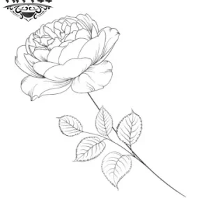 tatouage-ephemere-rose-fine-semi-permanent-tatouage-rose tatouage-ephemere-rose-fine-semi-permanent-tatouage-rose