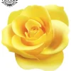 tatouage-ephemere-rose-jaune-floral-art-corporel-temporaire