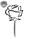 tatouage-ephemere-rose-minimaliste-design-discret-elegant-tatouage-ROSE tatouage-ephemere-rose-minimaliste-design-discret-elegant-tatouage-ROSE