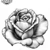 tatouage-ephemere-rose-ombre-floral-realiste-tatouage-rose tatouage-ephemere-rose-ombre-floral-realiste-tatouage-rose