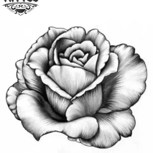 tatouage-ephemere-rose-ombre-floral-realiste-tatouage-rose tatouage-ephemere-rose-ombre-floral-realiste-tatouage-rose