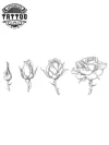tatouage ROSE éphémère ouverte temporaire tendance