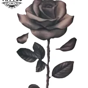tatouage-ephemere-rose-petales-declinants-design-temporaire tatouage-ephemere-rose-petales-declinants-design-temporaire