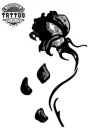 tatouage-ephemere-rose-qui-fane-style-realiste tatouage-ephemere-rose-qui-fane-style-realiste