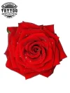 tatouage-ephemere-rose-rouge-3d-realiste tatouage-ephemere-rose-rouge-3d-realiste