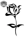 tatouage-ephemere-rose-tribal-look-temporaire-elegant tatouage-ephemere-rose-tribal-look-temporaire-elegant
