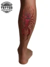 tatouage mollet tatouage éphémère scorpion réaliste détaillé tatouage mollet tatouage éphémère scorpion réaliste détaillé