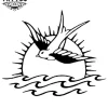 tatouage-ephemere-soleil-couchant-design-temporaires-tatouage-soleil tatouage-ephemere-soleil-couchant-design-temporaires-tatouage-soleil