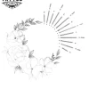 tatouage-ephemere-soleil-et-rose-temporaires tatouage-ephemere-soleil-et-rose-temporaires
